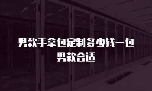 男款手拿包定制多少钱一包男款合适