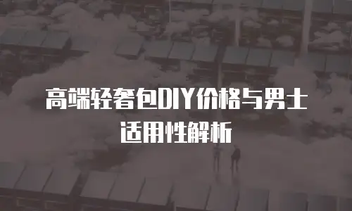 高端轻奢包DIY价格与男士适用性解析