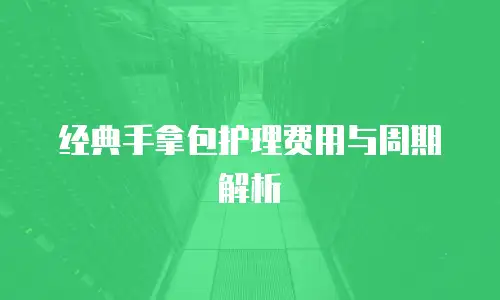 经典手拿包护理费用与周期解析