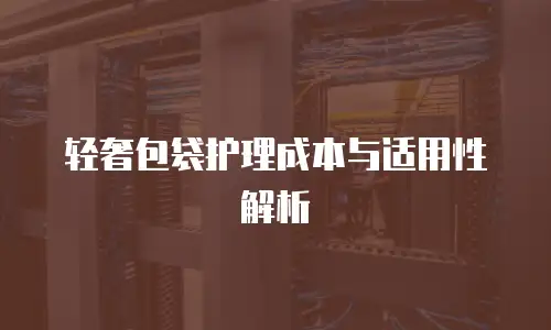 轻奢包袋护理成本与适用性解析