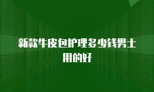 新款牛皮包护理多少钱男士用的好