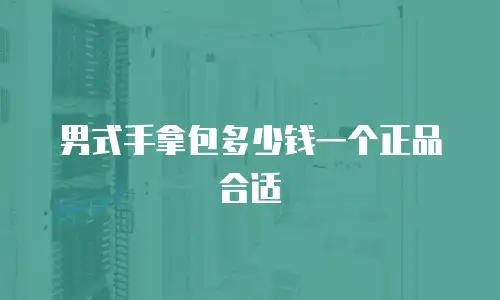 男式手拿包多少钱一个正品合适