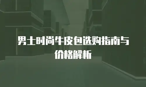 男士时尚牛皮包选购指南与价格解析