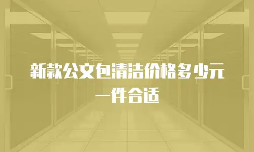 新款公文包清洁价格多少元一件合适