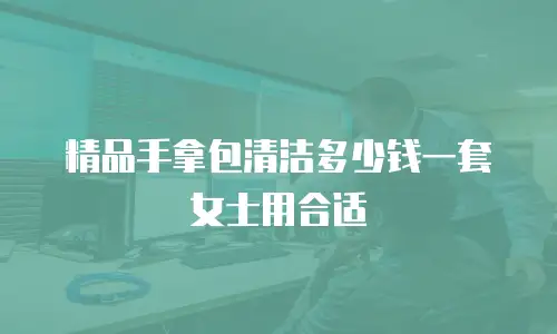 精品手拿包清洁多少钱一套女士用合适