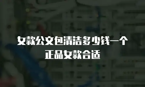 女款公文包清洁多少钱一个正品女款合适