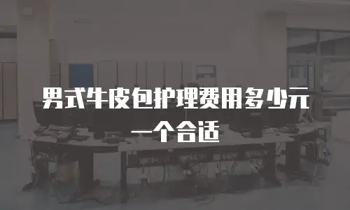 男式牛皮包护理费用多少元一个合适