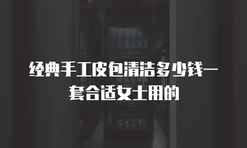 经典手工皮包清洁多少钱一套合适女士用的