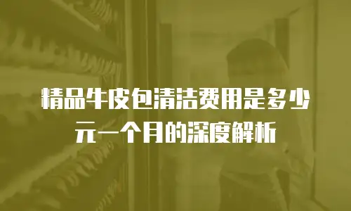 精品牛皮包清洁费用是多少元一个月的深度解析