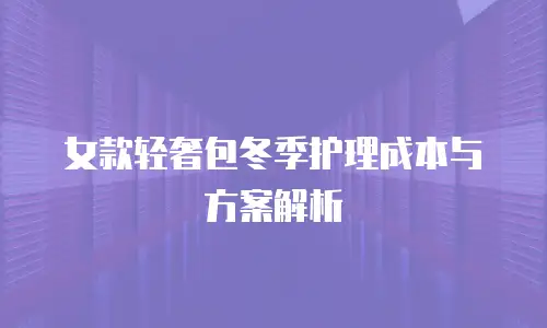 女款轻奢包冬季护理成本与方案解析