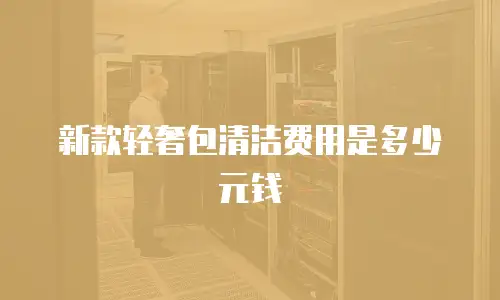 新款轻奢包清洁费用是多少元钱