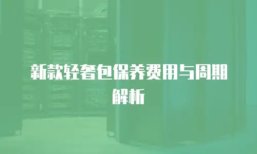 新款轻奢包保养费用与周期解析