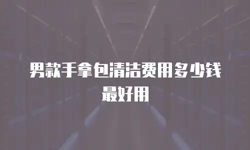 男款手拿包清洁费用多少钱最好用