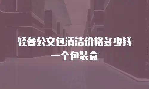 轻奢公文包清洁价格多少钱一个包装盒