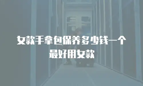 女款手拿包保养多少钱一个最好用女款