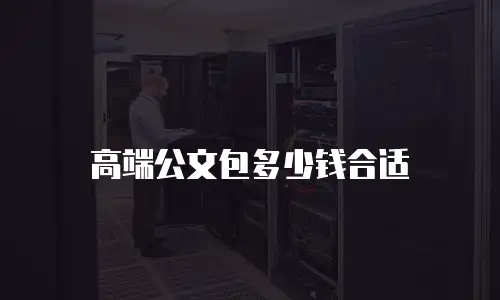 高端公文包多少钱合适