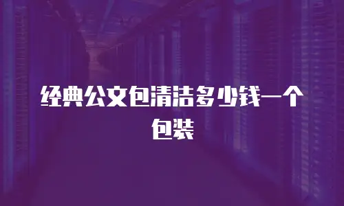 经典公文包清洁多少钱一个包装