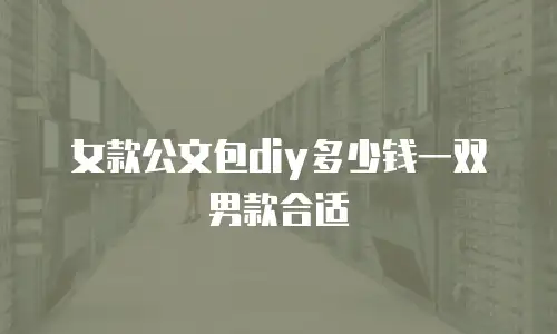 女款公文包diy多少钱一双男款合适