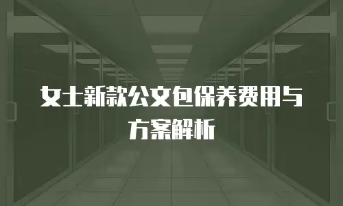 女士新款公文包保养费用与方案解析