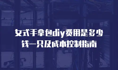 女式手拿包diy费用是多少钱一只及成本控制指南