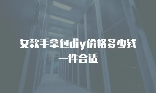 女款手拿包diy价格多少钱一件合适