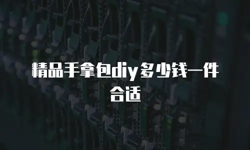 精品手拿包diy多少钱一件合适
