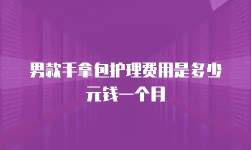 男款手拿包护理费用是多少元钱一个月