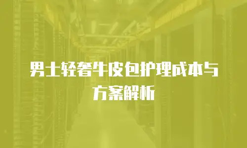 男士轻奢牛皮包护理成本与方案解析