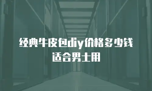 经典牛皮包diy价格多少钱适合男士用
