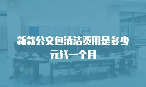 新款公文包清洁费用是多少元钱一个月