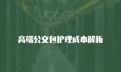 高端公文包护理成本解析