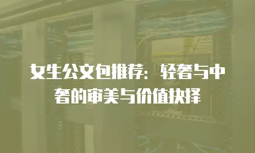 女生公文包推荐：轻奢与中奢的审美与价值抉择