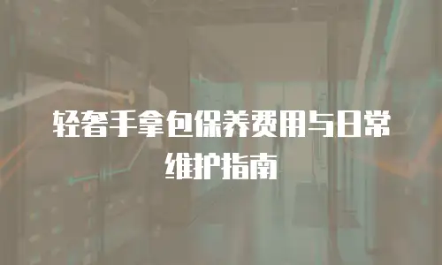 轻奢手拿包保养费用与日常维护指南