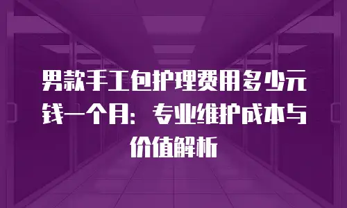 男款手工包护理费用多少元钱一个月：专业维护成本与价值解析