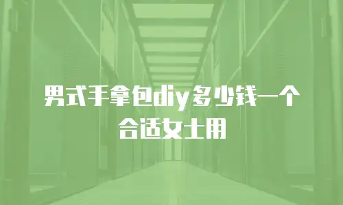 男式手拿包diy多少钱一个合适女士用