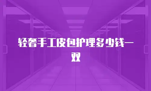 轻奢手工皮包护理多少钱一双