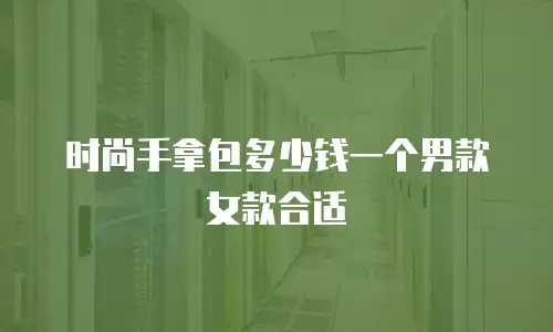 时尚手拿包多少钱一个男款女款合适