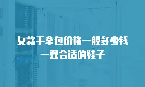 女款手拿包价格一般多少钱一双合适的鞋子