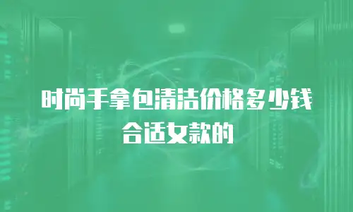 时尚手拿包清洁价格多少钱合适女款的