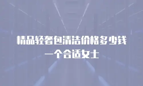 精品轻奢包清洁价格多少钱一个合适女士
