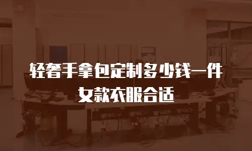 轻奢手拿包定制多少钱一件女款衣服合适