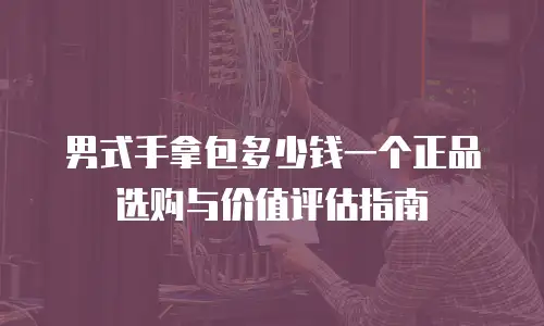 男式手拿包多少钱一个正品选购与价值评估指南