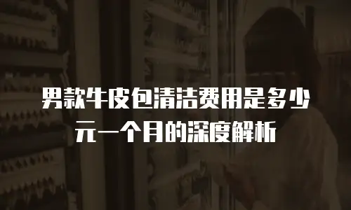 男款牛皮包清洁费用是多少元一个月的深度解析