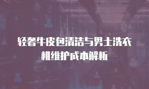 轻奢牛皮包清洁与男士洗衣机维护成本解析