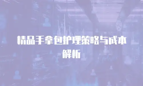 精品手拿包护理策略与成本解析