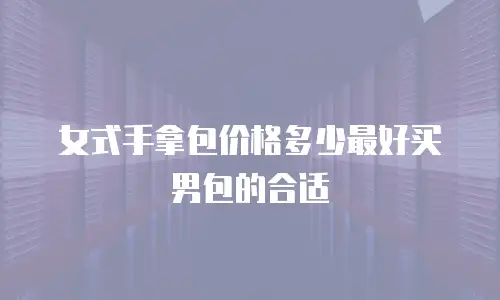 女式手拿包价格多少最好买男包的合适