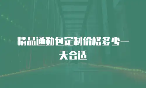 精品通勤包定制价格多少一天合适