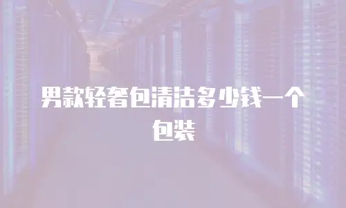 男款轻奢包清洁多少钱一个包装