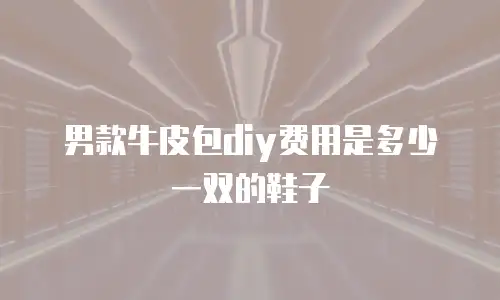 男款牛皮包diy费用是多少一双的鞋子