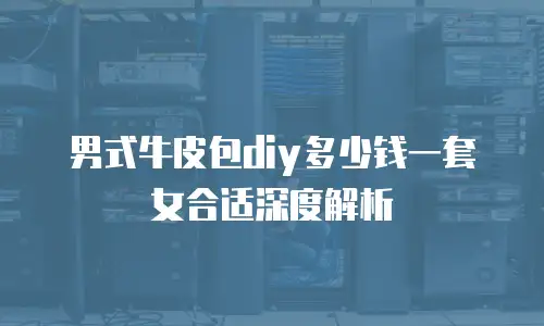 男式牛皮包diy多少钱一套女合适深度解析